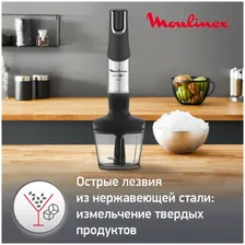 HausMark Moulinex DD95MD10 миксеры и блендеры