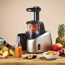 Соковыжималка шнековая Moulinex ZU255B10 серебристый